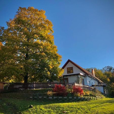 Ferienhaus Koller Güssing Exteriör bild